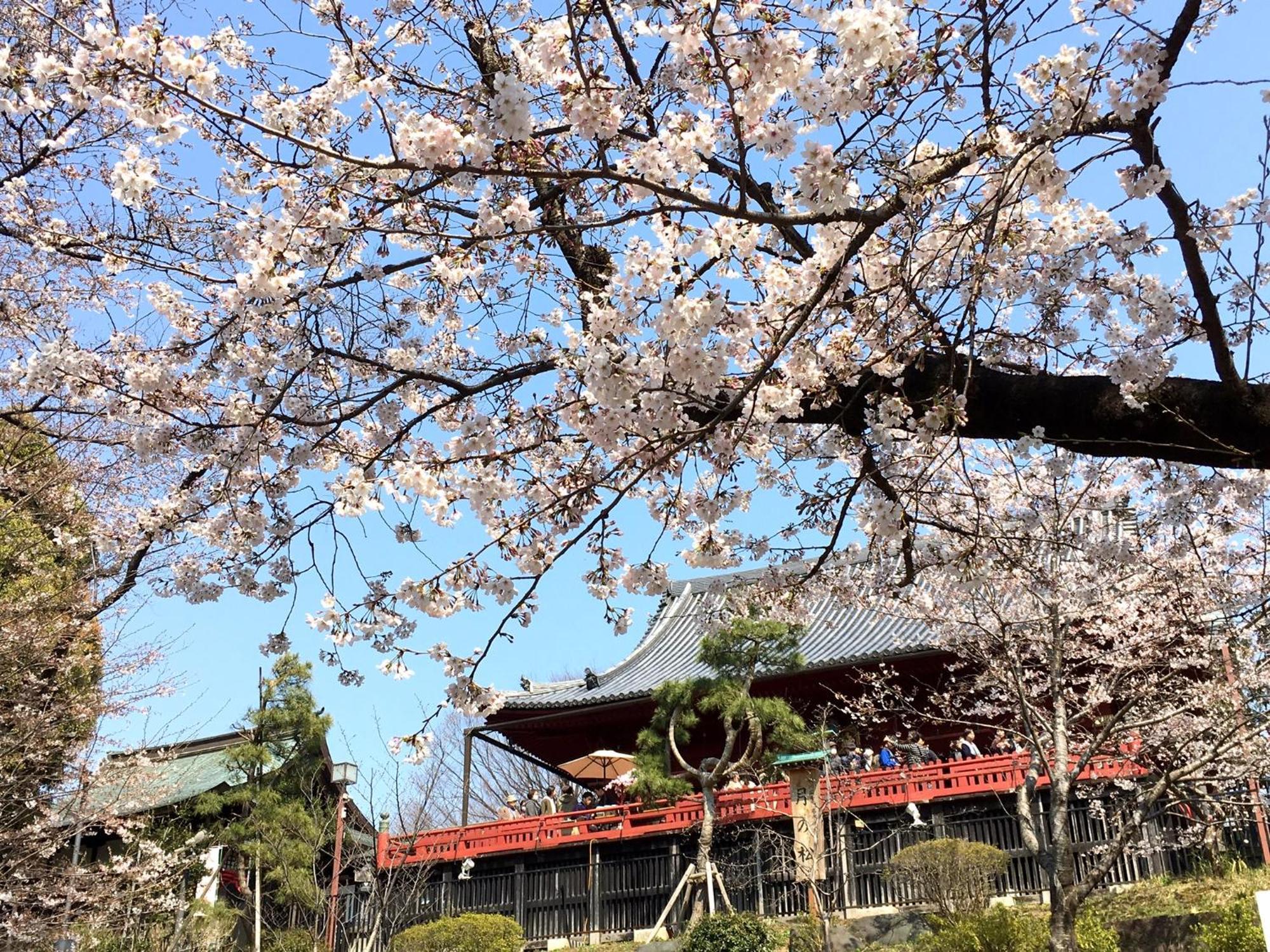 Art Hotel Nippori Lungwood, Tokyo